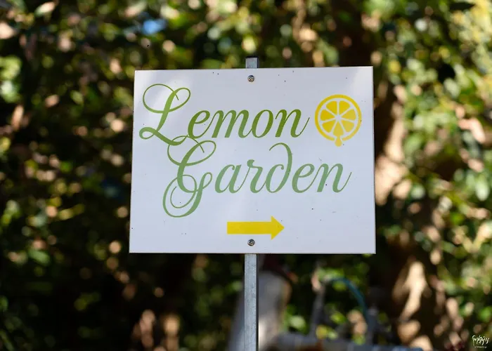 Lemon Garden Camper