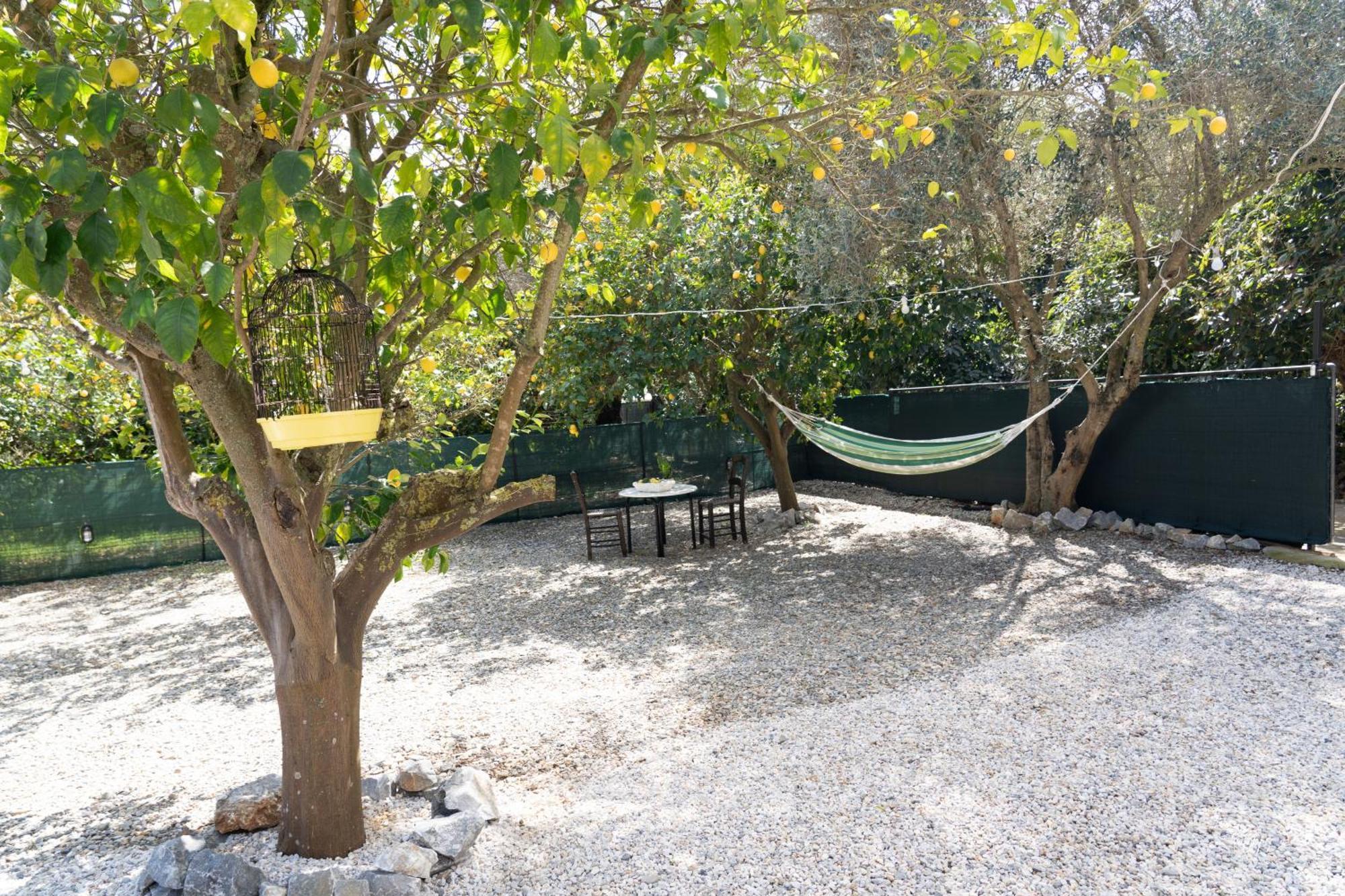 Lemon Garden Camper Tatil Evi Hanya