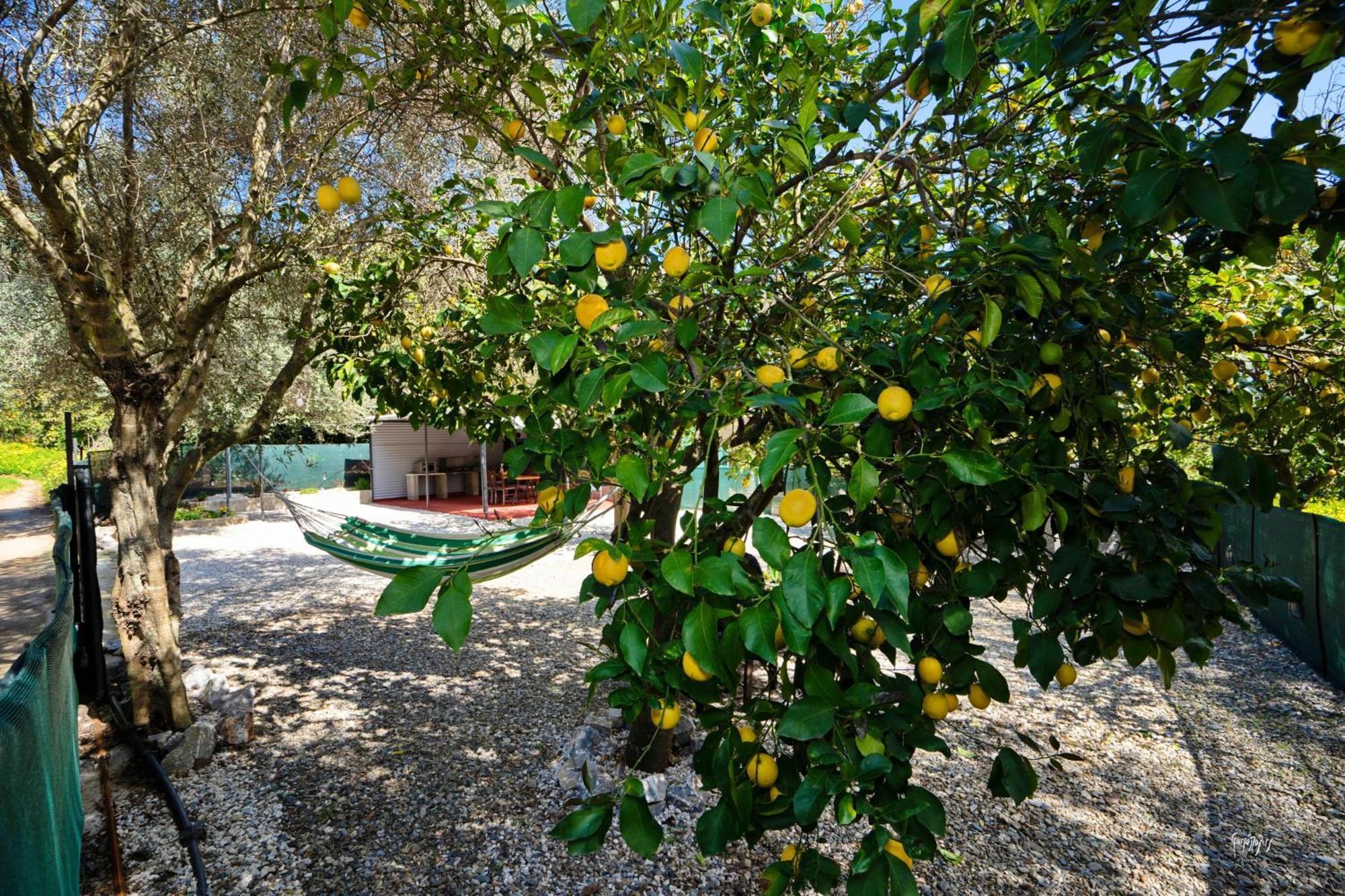 Lemon Garden Camper * Hanya